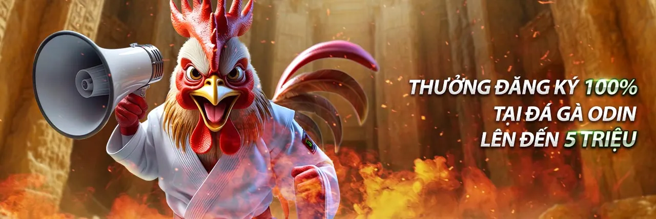 Hình ảnh cá cược thể thao trực tuyến sôi động tại f16878.vop với các môn thể thao phổ biến